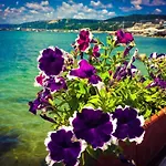 Family Jupiter Hotel Balchik