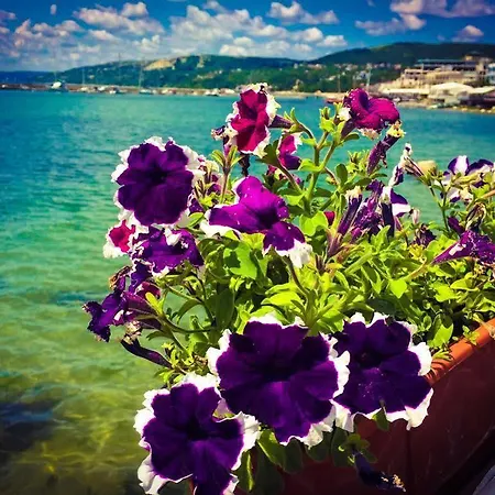 Family Hotel Jupiter Hotel Balchik